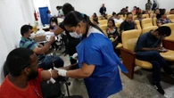 Dengue, l'allerta rimane alta: la guerra alle zanzare diventa una priorità in vista dell'estate