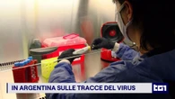 Sulle tracce dell'hantavirus: una distesa di rifiuti e quei piccoli roditori dalla coda lunga