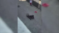Morire nelle mani della polizia, la cronaca e il video
