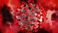 Long Covid, scoperta variante nel Dna: "Alcune persone più predisposte di altre"