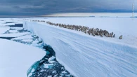 Wildlife Photographer of the Year 2025: fotografia e scienza unite per la difesa della natura