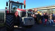 Agricoltori, è ancora mobilitazione. Trattori in fila da Nord a Sud Italia: 