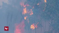 Terrore a Roma per un vasto incendio: 4 soccorritori ustionati gravi, uno è in rianimazione