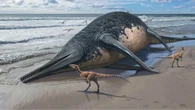 Il fossile trovato da una bambina di 11 anni potrebbe essere il più grande rettile marino conosciuto