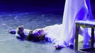 Gatto ruba la scena nel finale di Romeo e Giulietta e la tragedia finisce in commedia