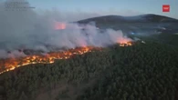 Incendio alle porte di Madrid: le fiamme che avanzano riprese da un drone