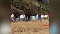 Una donna e il suo cane scampano alla frana che travolge le cabine sulla spiaggia