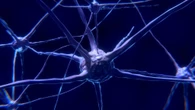 Miastenia gravis, una malattia autoimmune che blocca il sistema motorio