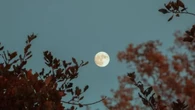 In arrivo la "mini luna blu". Di cosa si tratta e quando vederla
