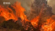 Spagna, bruciano i boschi a nord di Valencia. La battaglia dei pompieri