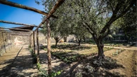 Pompei, torna a nuova vita la 'Casa del giardino di Ercole': lì si producevano e vendevano profumi