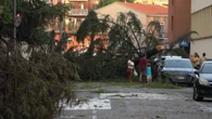 Tuoni e pioggia su Milano, il downburst fa cadere alberi e pali sulle auto