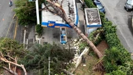 Devastazione dopo il tornado su Roma: distributore di benzina travolto dagli alberi