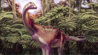 Dimenticato per 40 anni in un cassetto: era l'osso di un raro dinosauro dell'Antartide