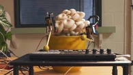 Piante e funghi in concerto: suonano gli strumenti con i segnali bioelettrici
