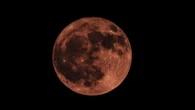 È in arrivo la "Luna delle fragole": quando sorge e come vedere la luna piena di giugno