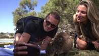 Alexander Zverev, selfie con i quokka prima della United Cup