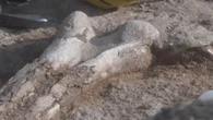 Ossa di un dinosauro spuntano dal deserto: paleontologi argentini scoprono rari fossili in Patagonia