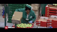 Le facce del lavoro