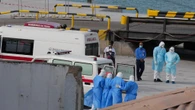 Hantavirus, 4 in quarantena in Italia. In volo con una delle vittime. Hondius, sbarco alle Canarie