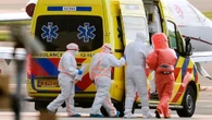 Iss: tutto quello che c'è da sapere sull'Hantavirus, nessuna segnalazione in Italia