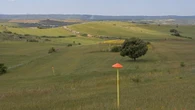 Imprese europee per regole forti su sostenibilità aziendale