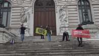 Frutta e verdura davanti al Parlamento, il blitz di Ultima Generazione contro il caro vita