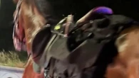 Cavalli in fuga nella notte a Roma durante le prove del 2 Giugno: al galoppo tra le macchine in coda