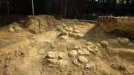 Francia, uova di dinosauro di 72 milioni di anni fa scoperte nel museo