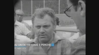 Seveso, 50 anni fa il disastro della diossina