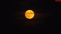 Il cerchio gigante della "Luna delle Fragole" squarcia il cielo notturno di Vienna
