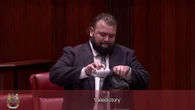 Australia, il politico saluta il Parlamento con un brindisi… dalla scarpa