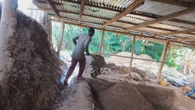 Accra, cade elicottero: muoiono i ministri della Difesa e dell'Ambiente