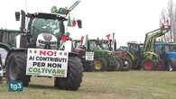 Movimento dei trattori, atmosfera tesa dopo l'incontro con il ministro dell'Agricoltura