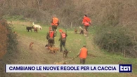 DDL Caccia, sì del Senato alla riforma: cambiano regole, aree e specie cacciabili