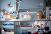 L’antibiorésistance, la « pandémie silencieuse »