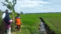Mentan: Dengan RJIT, Petani Tak Perlu Khawatir Saat Musim Kemarau