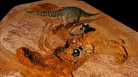 Bukan T-rex, Ini Jenis Dinosaurus Terbesar Hidup di Australia