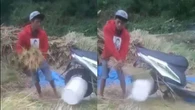Fungsi Tersembunyi Honda Beat, Bisa Bikin Hidup Buruh Tani Makin Praktis, Kok Bisa?