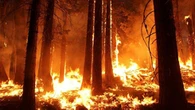Tangis Korban Kebakaran Hutan di Turki: Semua Hangus, Apa Lagi yang Kami Punya?