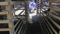 Tiongkok Temukan Kasus Flu Burung H10N3 Pertama pada Manusia