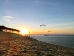 De la Dune du Pilat au cap Ferret : nos idées de sorties “nature” pour découvrir le bassin autrement
