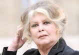 Vidéo. « Le féminisme, c’est pas mon truc » : Brigitte Bardot prend la défense de Nicolas Bedos et Gérard Depardieu