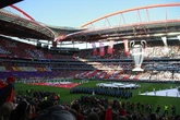 Vidéo. La Ligue des champions : comment une idée française a conquis le football européen