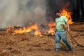 « La semaine prochaine sera difficile » : le Portugal se prépare à une vague de chaleur avec des risques d’incendies