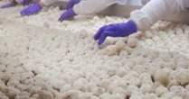Thái Lan bất ngờ săn lùng một mặt hàng ngon, bổ, rẻ từ Việt Nam: Từ Á đến Âu đều ưa chuộng, thu về hơn 160 triệu USD kể từ đầu năm