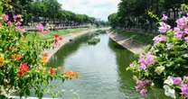 Nước sông Tô Lịch trong xanh trở lại sau cảnh cạn trơ đáy, cá chết bốc mùi