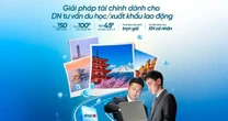 Giải pháp tài chính toàn diện cho doanh nghiệp tư vấn du học và xuất khẩu lao động
