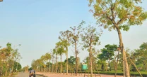 Quảng Bình: Cán bộ bị kỷ luật từ 2020 đến nay sẽ không được bổ nhiệm cao hơn