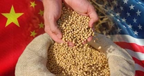 Trung Quốc dỡ bỏ một phần thuế trả đũa đối với nông sản Mỹ, nhưng vẫn giữ thuế 13% với đậu tương